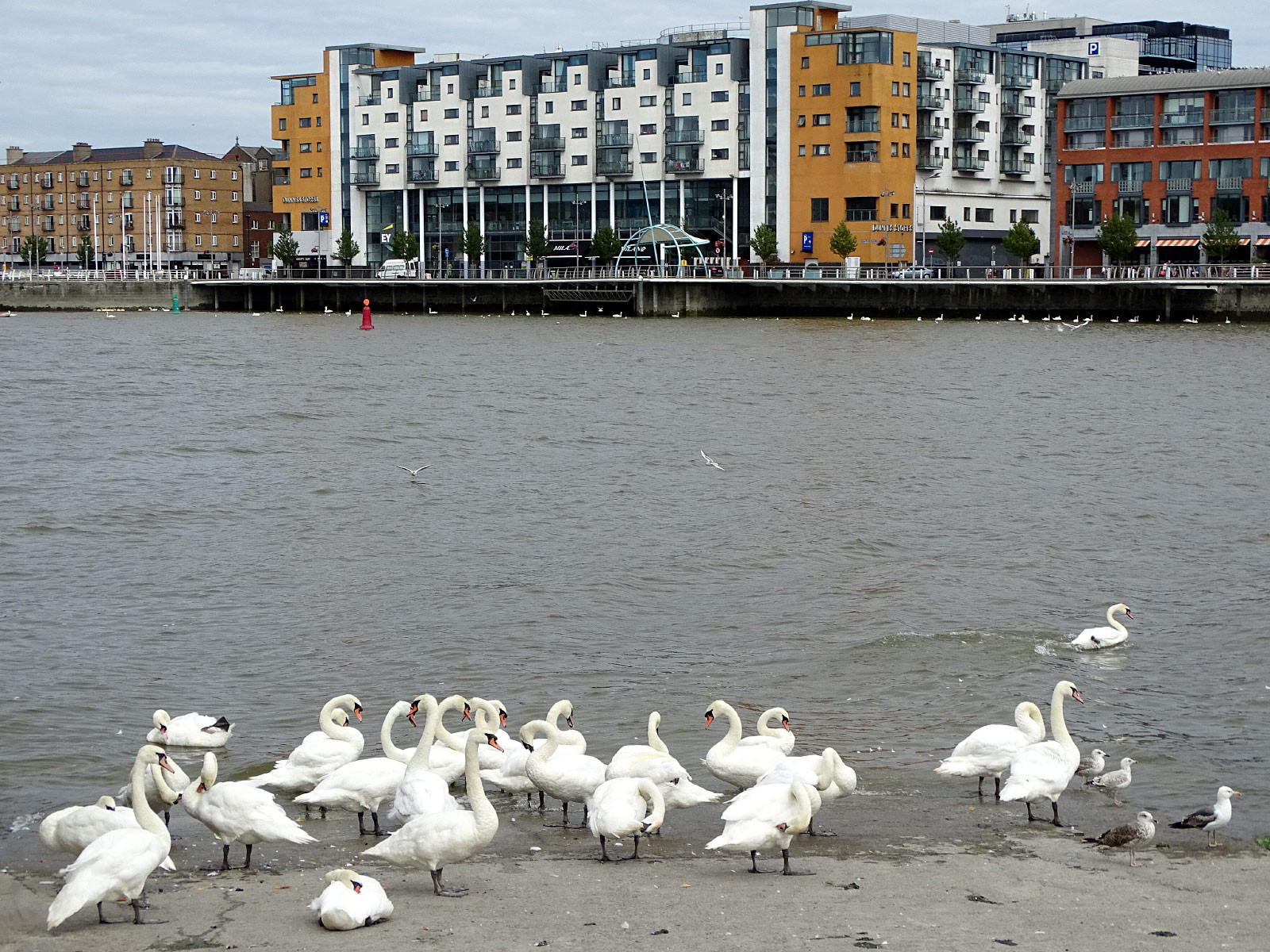 Limerick (Photo license: CC BY 2.0)